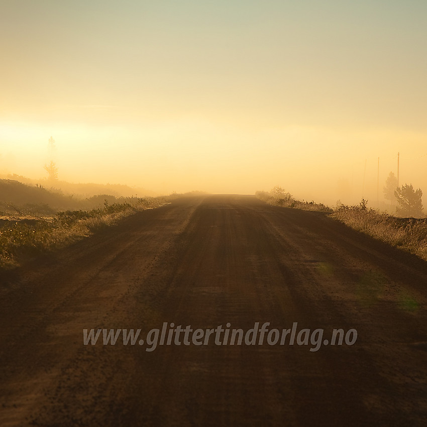 Tåkete sommermorgen like ved Vaset i Vestre Slidre på Panoramaveien.