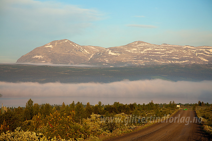 Fra Panoramaveien like ovenfor Nøsen i Vestre Slidre mot Skogshorn (1728 moh) og Skarvanfjellet (1735 moh).