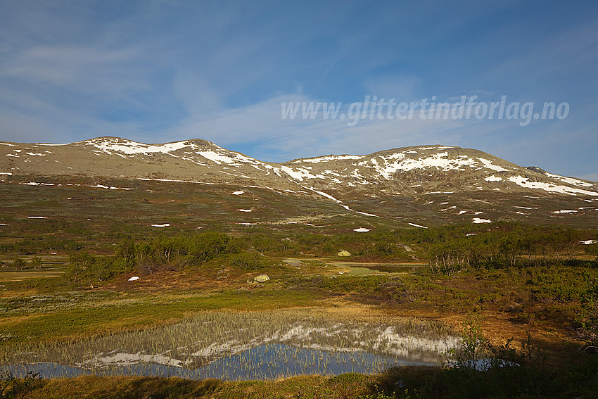 På tur fra Raudbekkstølen til Veslebotnskarvet (1778 moh bak til høyre), her ved et lite tjern som speiler toppene.