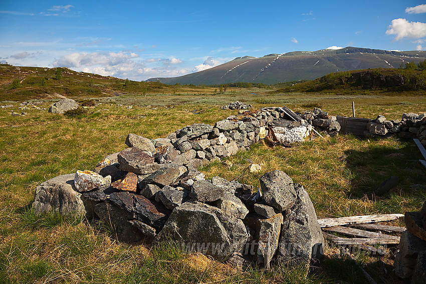 Grunnmur på Lægeret med Storlifjellet i bakgrunnen.