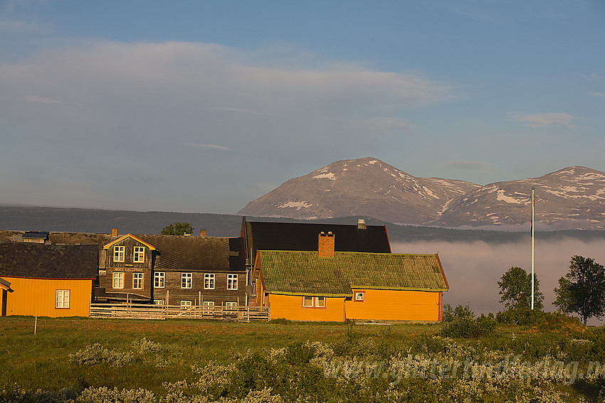 Fra Panoramaveien mot Nøsen fjellstue en sommermorgen med Skogshorn (1728 moh) i bakgrunnen.