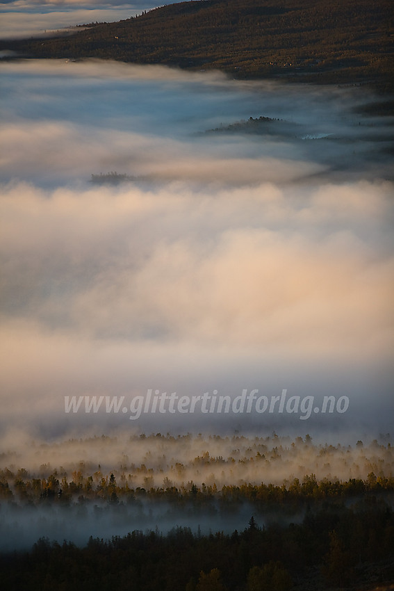 Fra Bukonefjellet mot Storfjorden hvor tåkebankene driver rundt denne høstmorgenen.