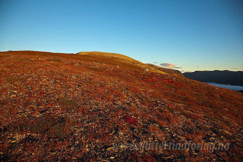 Innover Bukonefjellet med Gråkampen (1595 moh) i bakgrunnen.