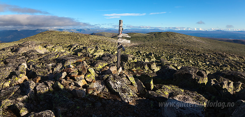 På toppen av Gråskarvet (1731 moh) med Jørungilknappen (1710 moh) i bakgrunnen.