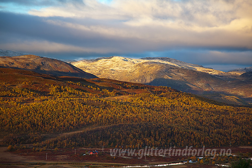 På vei opp fra Kyrkjestølen med utsikt over høstglødende fjellandskap på Filefjell.