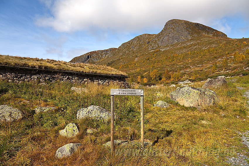 Ved Kyrkjestølen mot Kyrkjenøse (1308 moh).