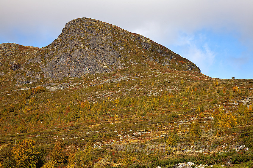 Ved Kyrkjestølen mot Kyrkjenøse (1308 moh).