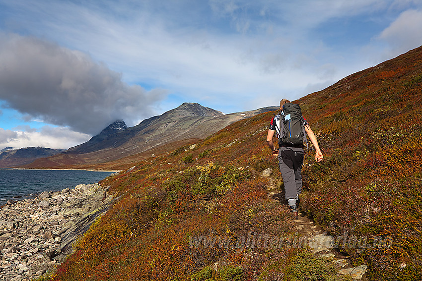 På vei innover langs Bygdin en flott høstdag. I bakgrunnen Øystre Torfinnstinden og Nørdre Kalvehølotinden.