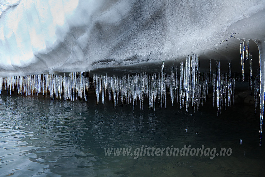 Istapper ved fronten på Kalvehøgdbreen.