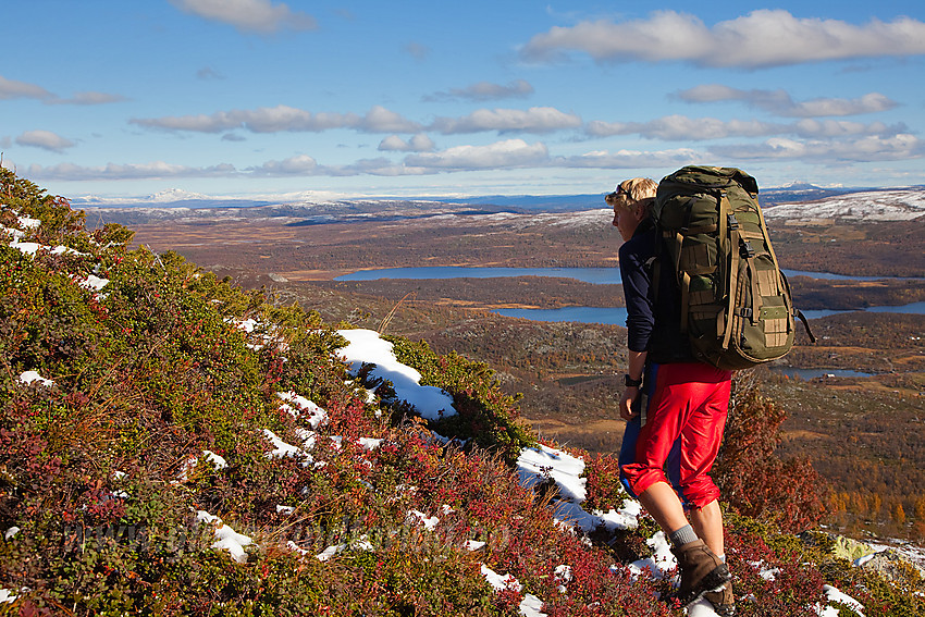 På vei opp lia fra Kvithaug med kurs mot Gråskarvet. 