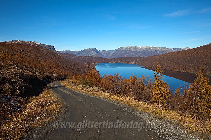 I lia fra Helin opp mot Smådalsfjellet mot Helin.