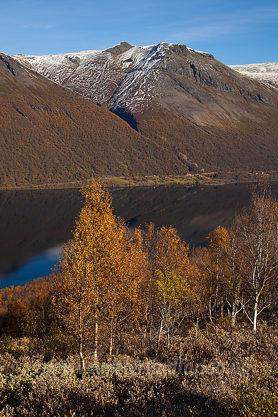 I lia fra Helin opp mot Smådalsfjellet mot Gilafjellet / Kruk.