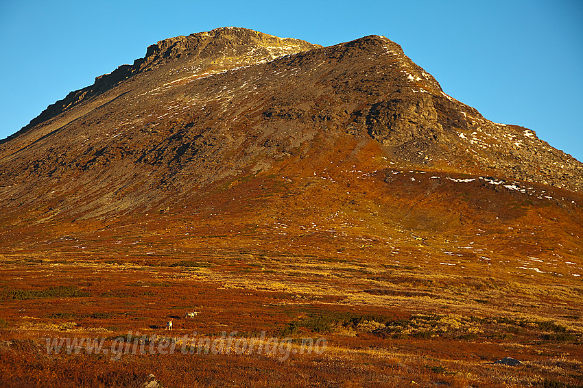 I ytre del av Hestebotten mot Klanten (1768 moh).