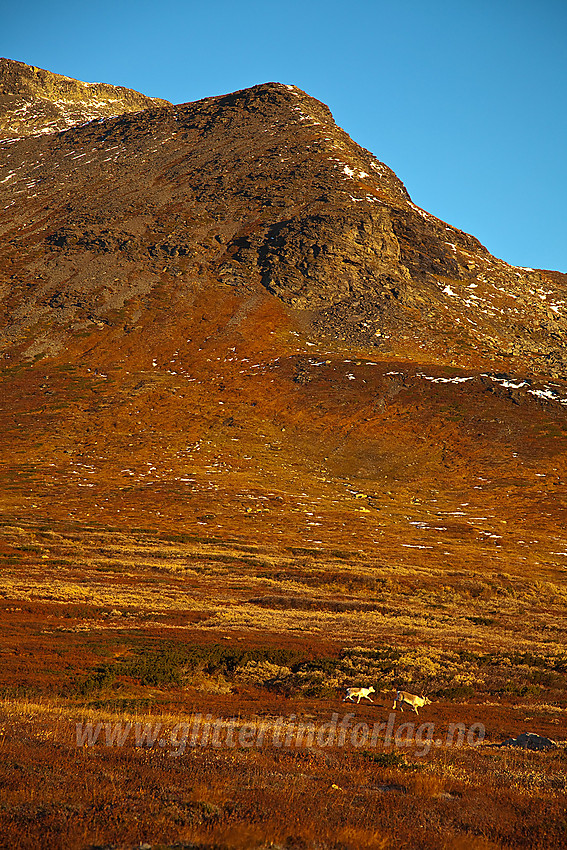 I ytre del av Hestebotten mot Klanten (1768 moh).