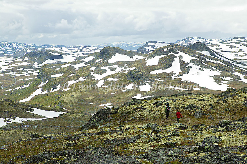 På vei sørøstover fra Gjendetunga med Tungepiggan (1518 moh.) rett forut og Veslådalen nede til venstre.