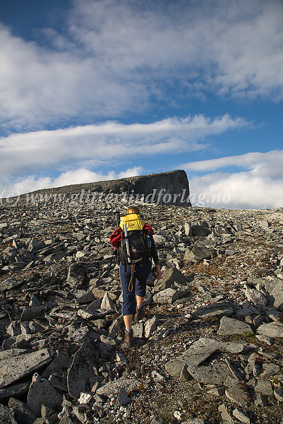 På vei mot Bukkehøe (2314 moh.) fra sør.