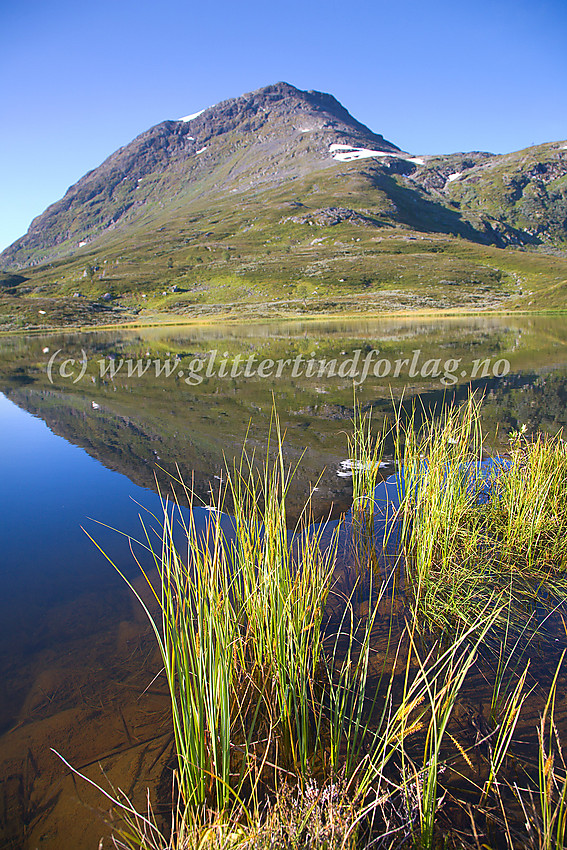 Idyllisk morgenstemning ved Øvre Halsatjønne, rett ved riksvei 55 nær Jotunheimen Fjellstue, med Veslloftet som speiler seg i vannet.