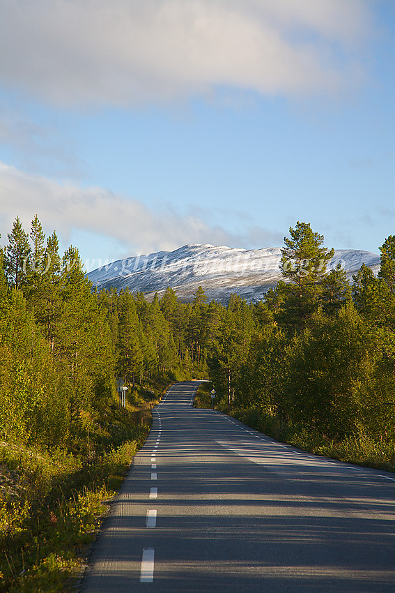 Høstmorgen i Sjodalen et kort stykke sør for Randsverk med Trollhøe i bakgrunnen.