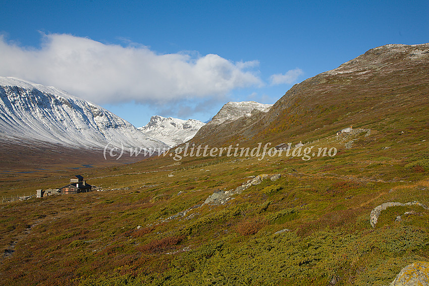 I Smådalen ved Smådalssætren. I bakgrunnen ses Finnshalspiggen (1800 moh.)