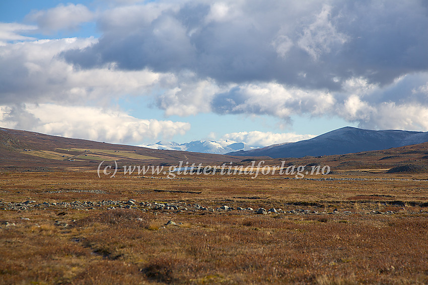 I Smådalen med utsyn øst-nordøstover mot seterveien ved Smørlie, Trollsteinhøe (litt mot høyre) og Rondane helt i det fjerne.