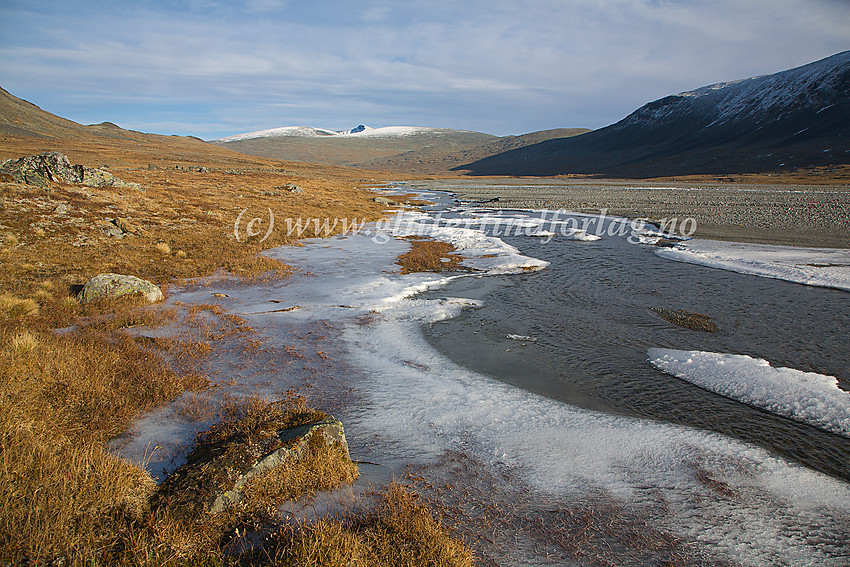 I Veodalen like ved Veo der denne flyter over en stor breelvslette, et kort stykke nedenfor Veobrean. I bakgrunnen Nautgardstinden (2258 moh.)