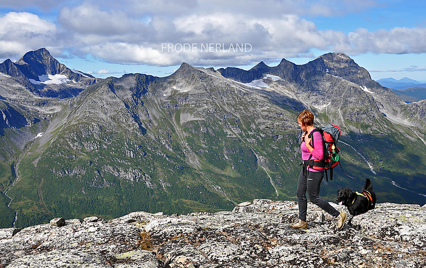 Fra Jønnstadkollen. I bakgrunnen ,Skjorta,Glennfjellet,Litlgladnebba,Staveskoen og Ryssdalsnebba