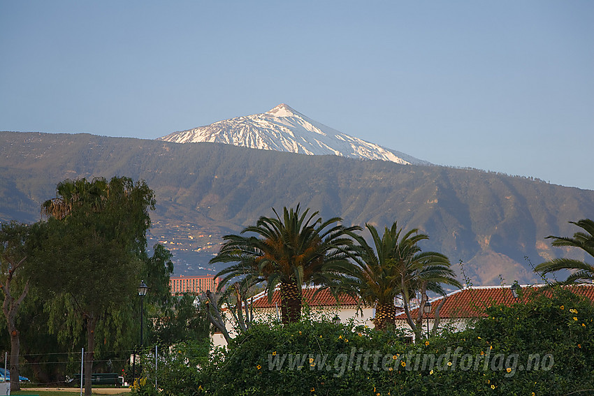 Kveld fra Puerto de la Cruz mot Teide (3718 moh).