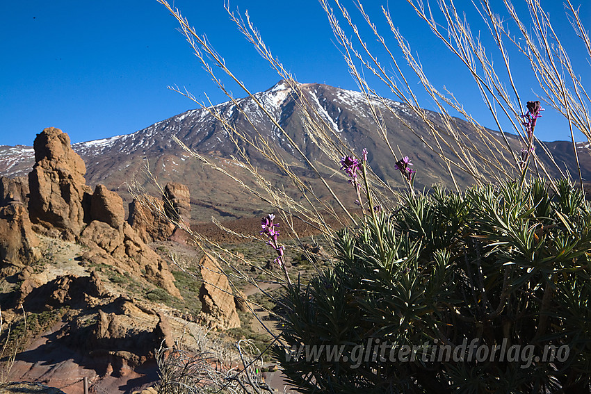 Vulkanske formasjoner ved foten av Teide. Toppen i bakgrunnen.