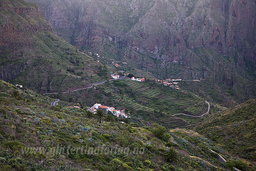 Fjellandsbyen Masca på Tenerife.