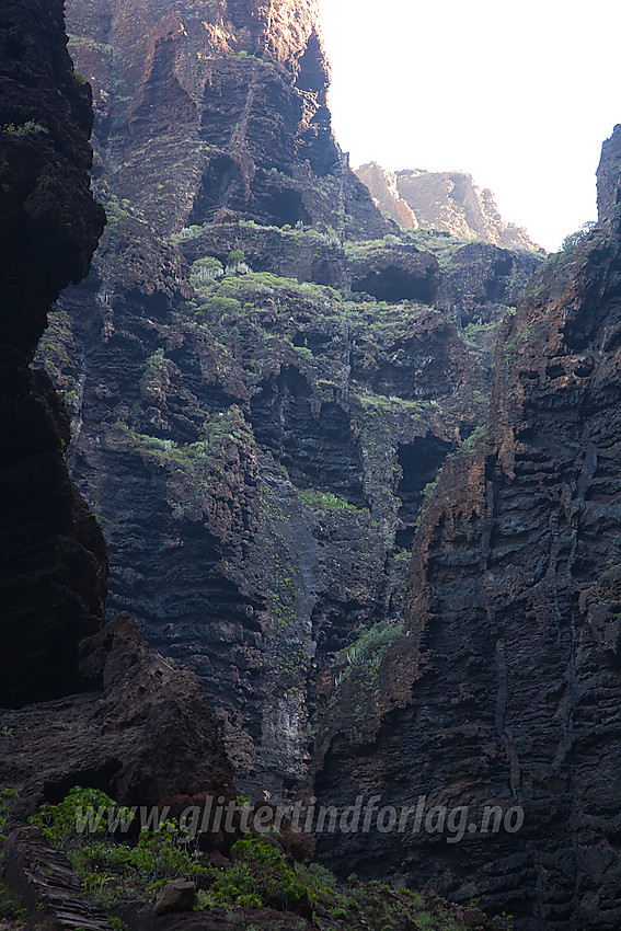 På vei ned Maskajuvet på Tenerife.