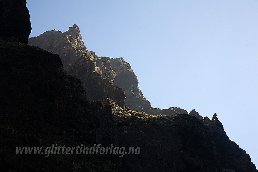 Fra Maskajuvet på Tenerife.