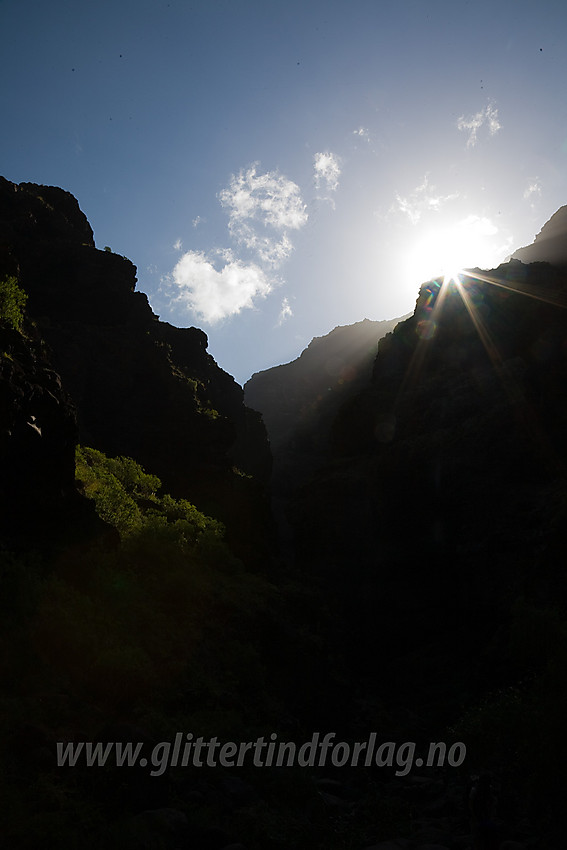 I Maskajuvet på Tenerife.