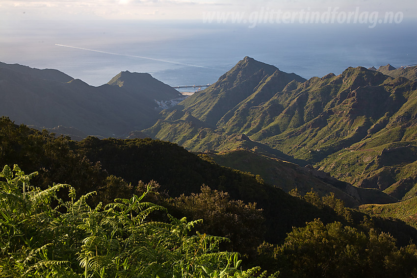 Landskap nordøst på Tenerife.