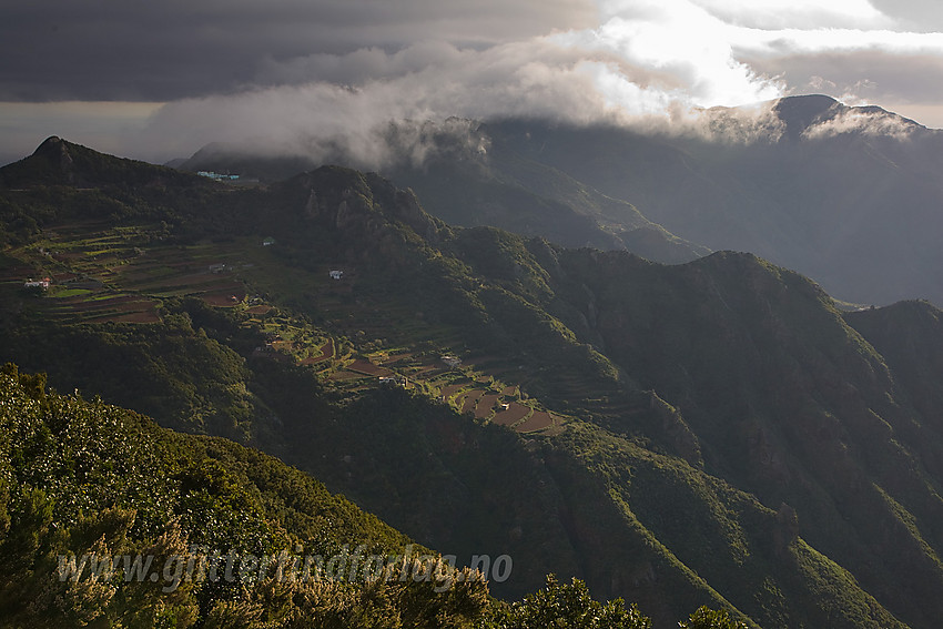 Landskap nordøst på Tenerife.