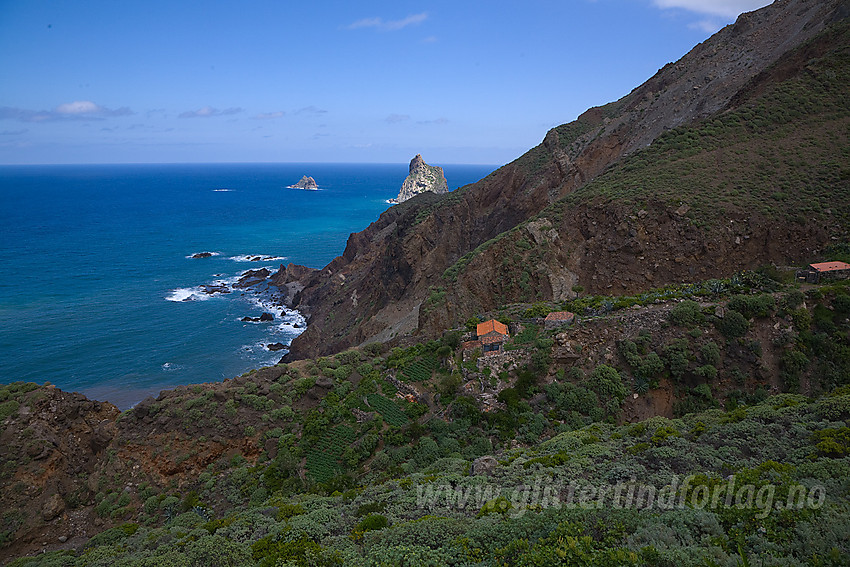 Landskap nordøst på Tenerife.