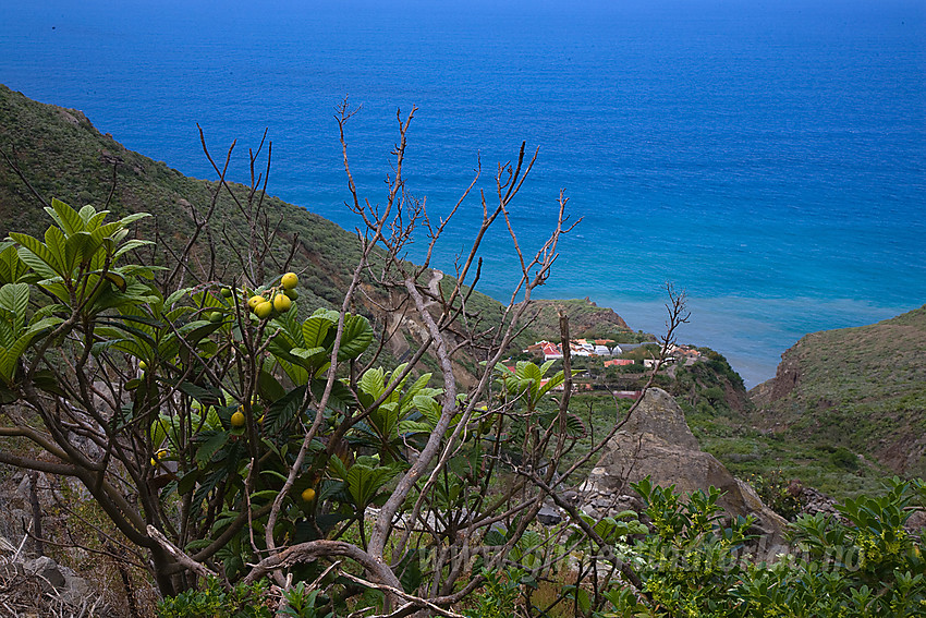 Landskap nordøst på Tenerife.