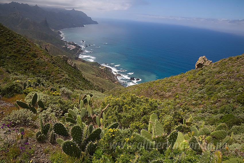 Landskap nordøst på Tenerife.