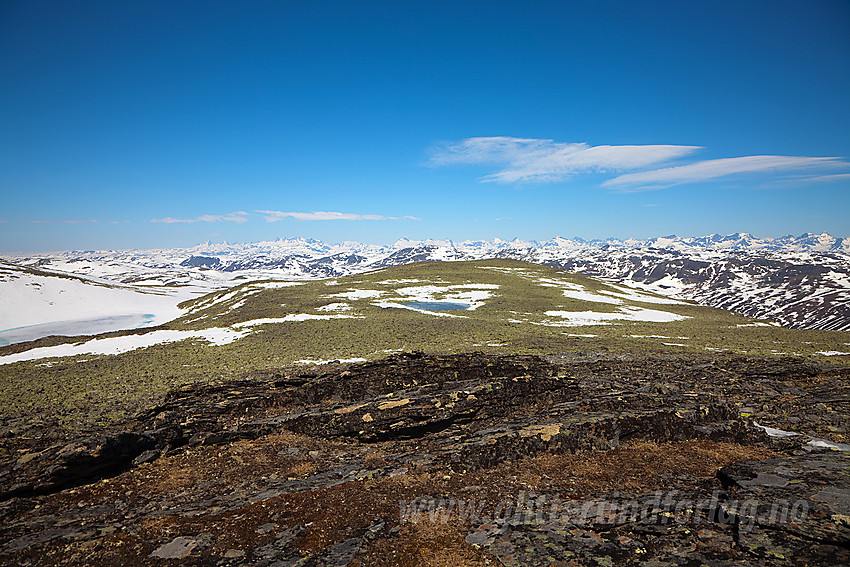 Fra toppen på Skutshorn i retning Jotunheimen.