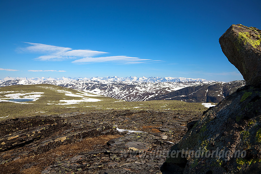 Fra toppen på Skutshorn i retning Jotunheimen.