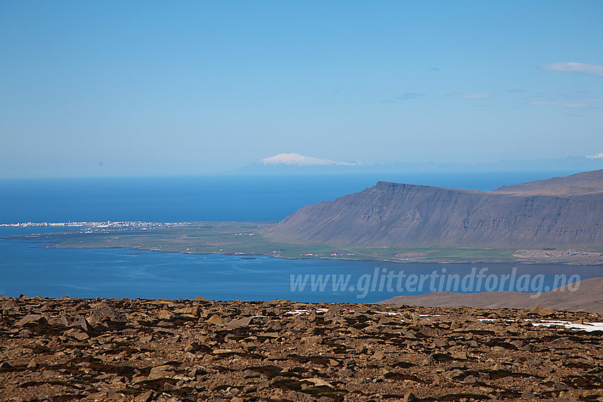 Utsikt fra Kistufell nord for Reykjavik mot Akranes og Akrafall med Snæfellsjøkul i det fjerne.