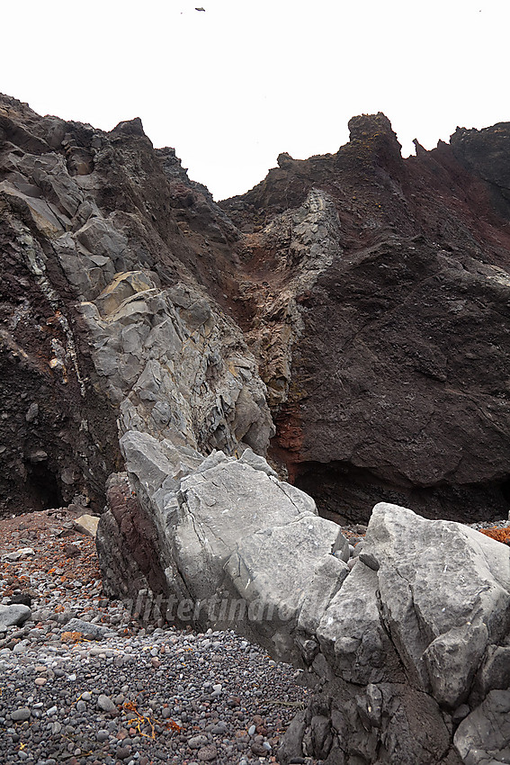 Ved foten av Fugleberget på Jan Mayen.