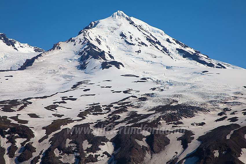 Fra seilbåten mot Beerenberg med Haakon VII Topp sentralt. Breene midt i mot fra Beerenberg er f.v. Hamarbreen og Jorisbreen.