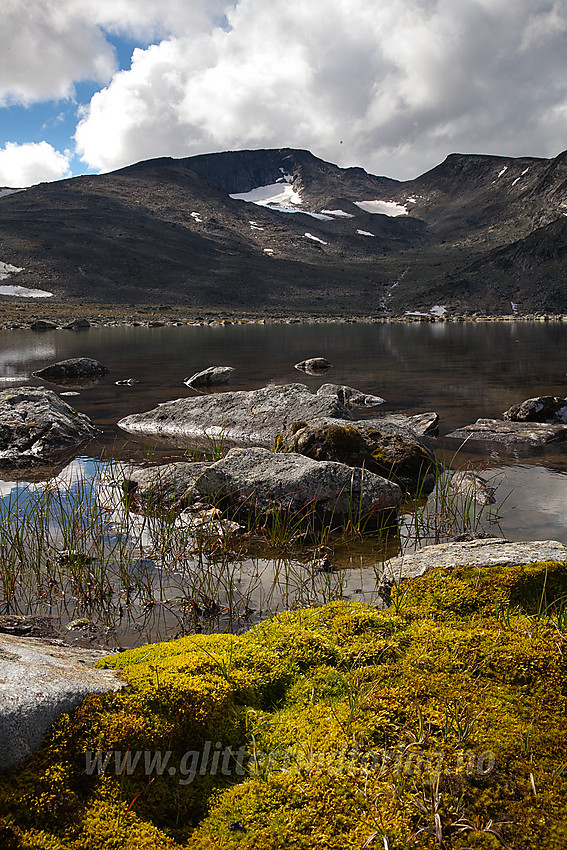 Ved utløpet av Bukkehåmårtjønne mot Høgdebrotet (2226 moh) og Kvassryggen (2071 moh).