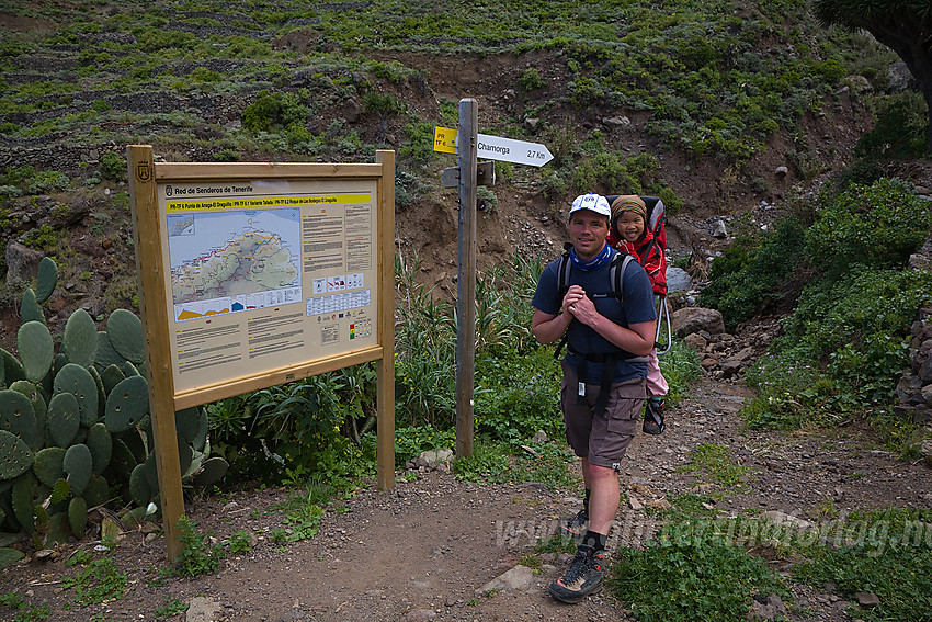 Vandring nordøst på Tenerife.