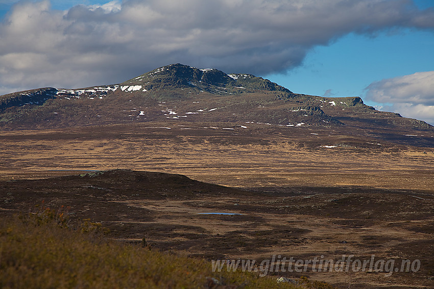 Skaget sett fra ryggen opp mot Kjølafjellet fra sørøst.