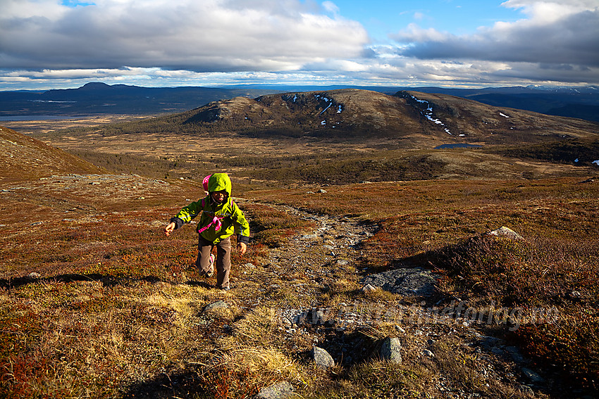 På vei opp mot Kjølafjellet med Gravfjellet i bakgrunnen.