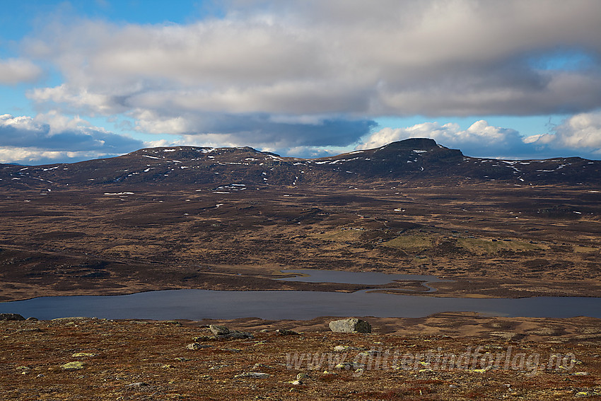 Utsikt fra Kjølafjellet mot Svarthamaren (1471 moh) og Skreddalsfjellet.