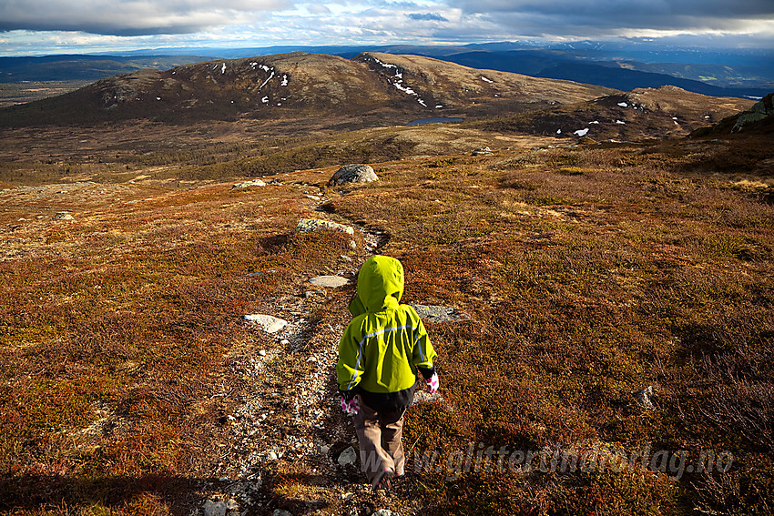 På vei ned fra Kjølafjellet med Gravfjellet i bakgrunnen.