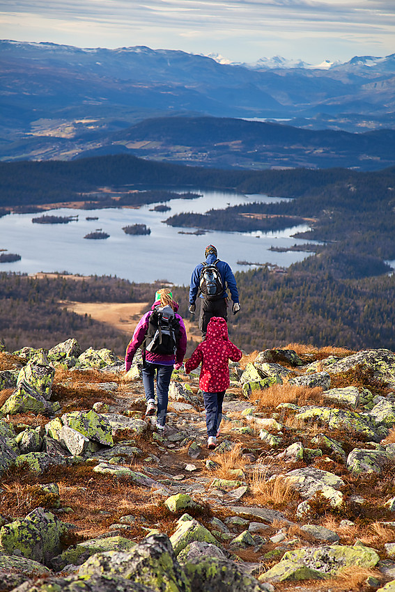 På vei ned fra Rundemellen. I det fjerne ses Mugnetinden og snøhvite Jotunheimtopper.