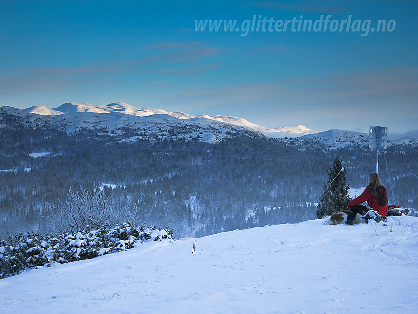 På toppen av Kollhaugen (1034 moh) i Etnedal med Synnfjellet i bakgrunnen.